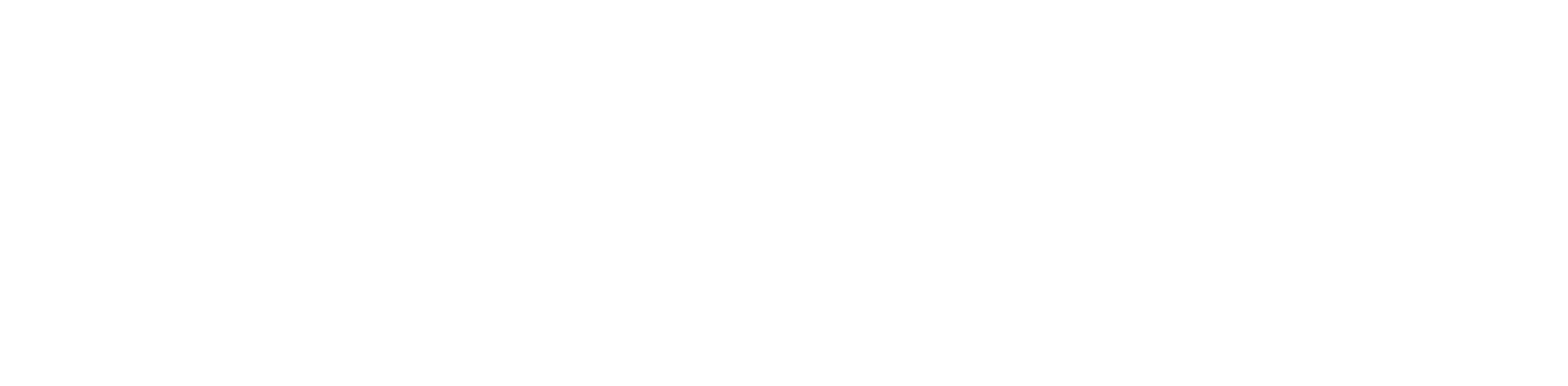 Barnes IP Training